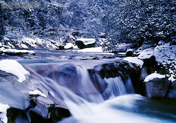 ���˶�����